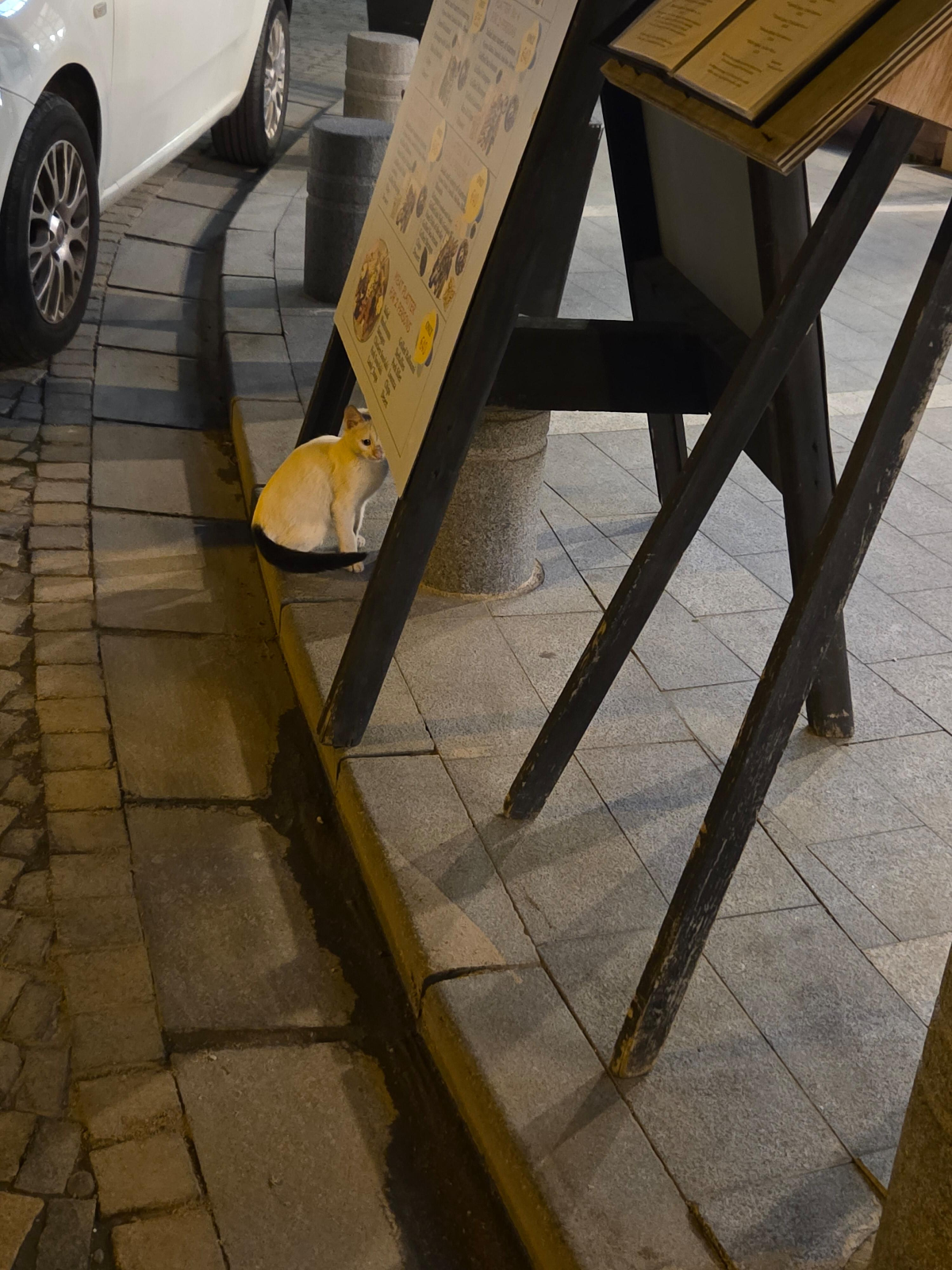 2ff6db61-c69d-4ae5-ae0d-a6735f5639b0