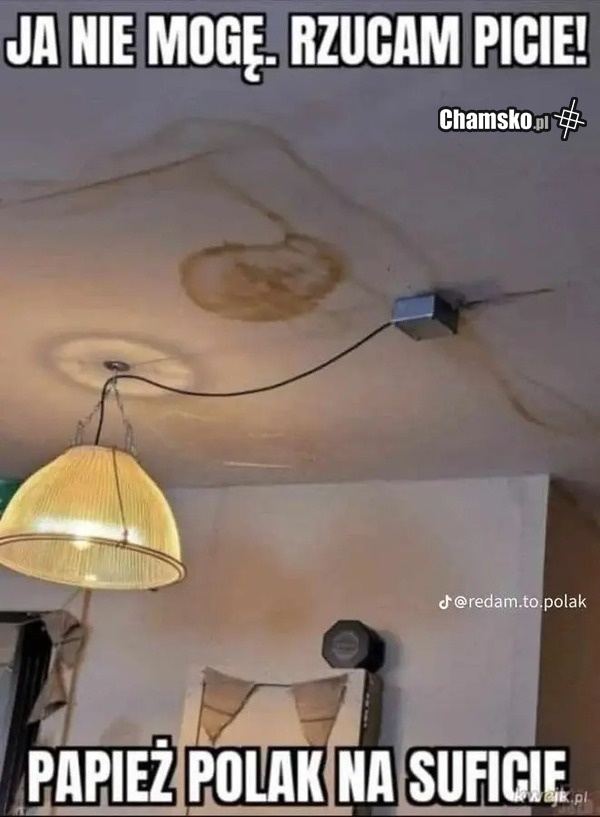 8896d307-b621-4519-8156-4a69cf2f8f25