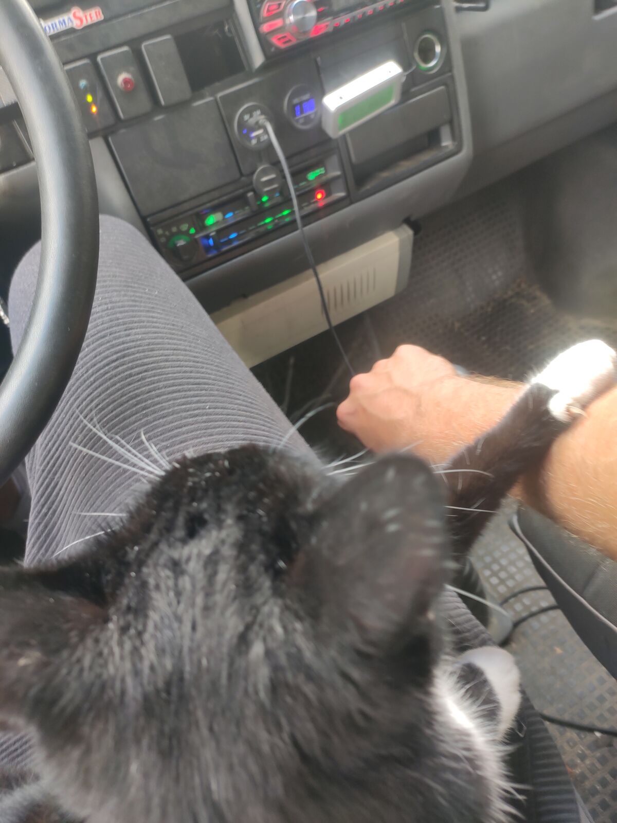 1366df2b-300f-4f52-926b-62ac19f815a1