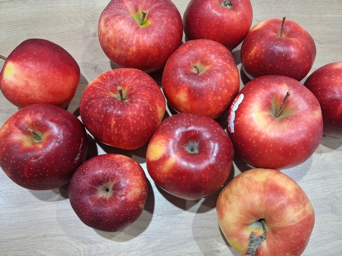 6db4ecc9-379c-4bb1-baff-6d2108f648f4