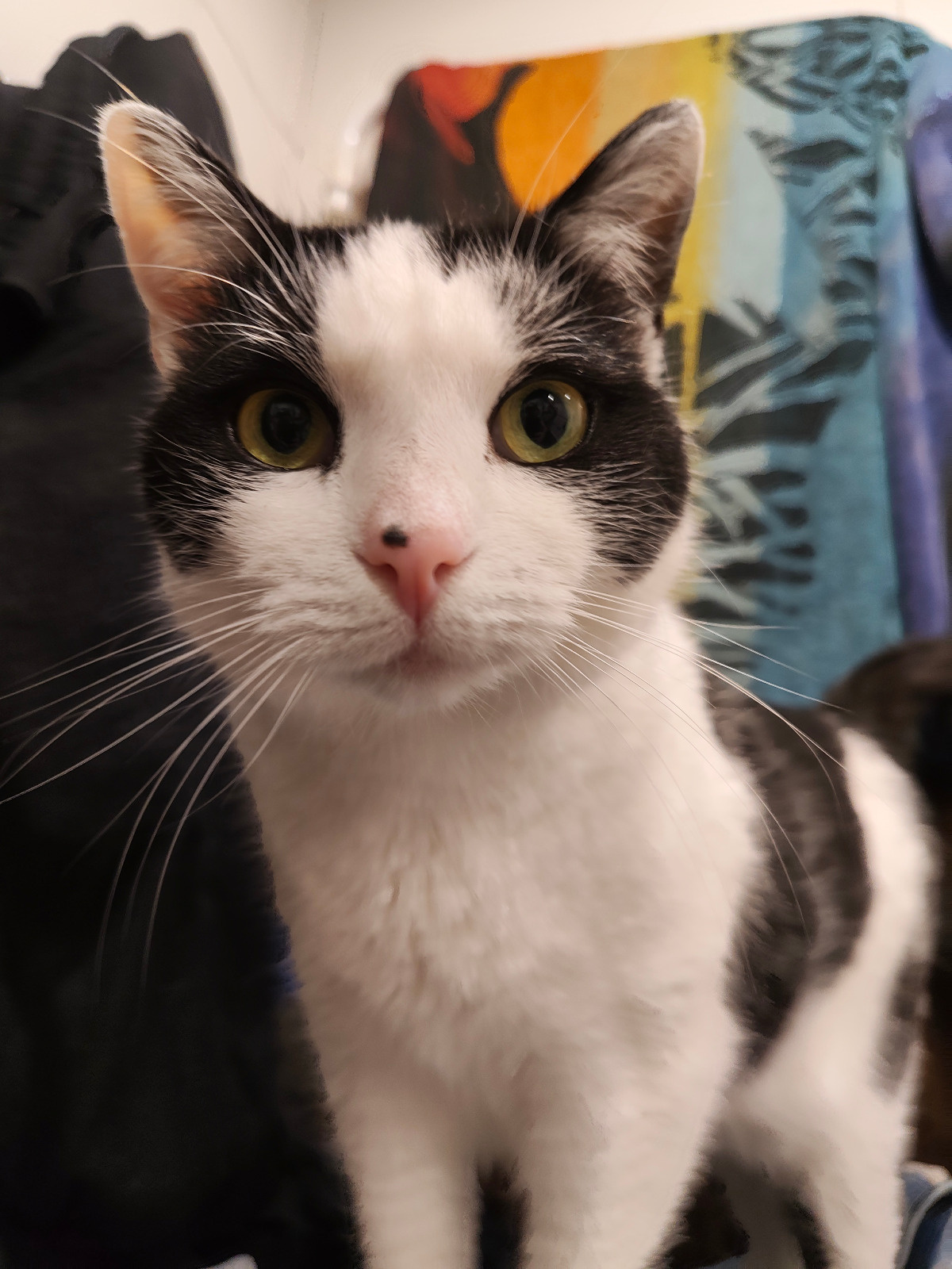 b92c8901-23ee-4c9e-abb7-6ed154f1073d