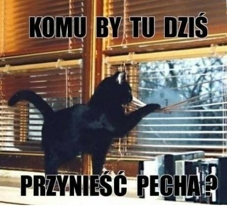 78440075-400d-4be5-ac00-b94291f67366