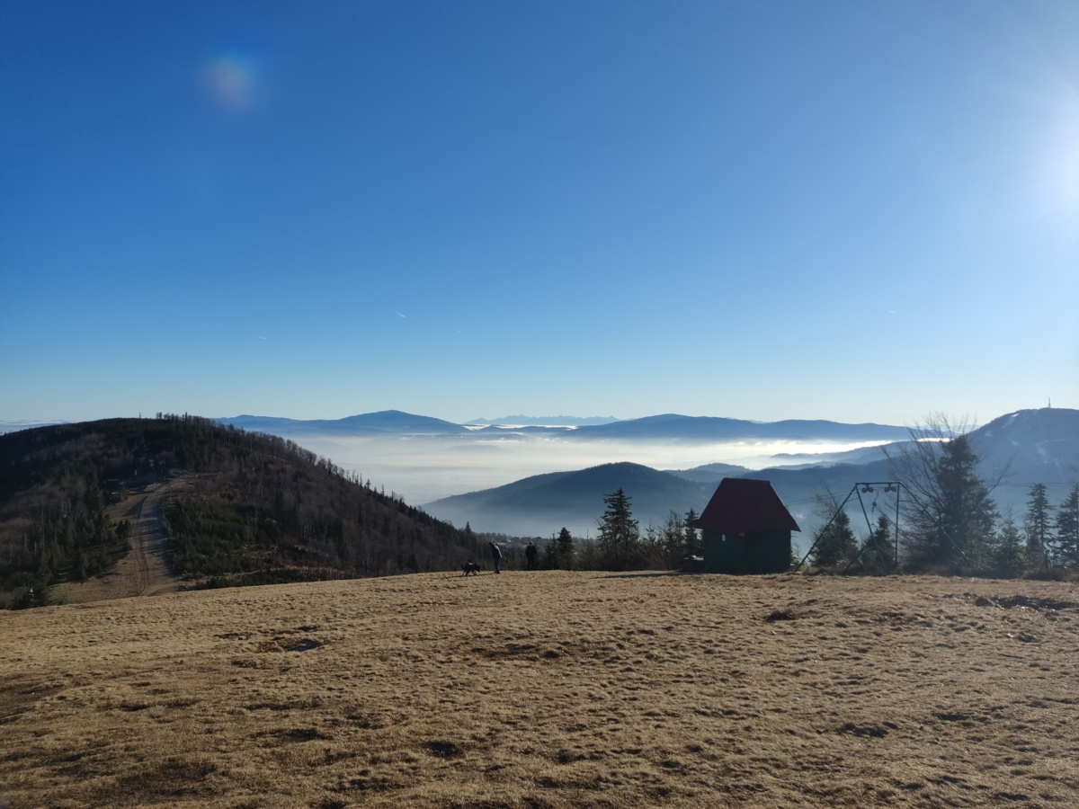 86d28c50-f873-488a-8b1b-a19b85edc733