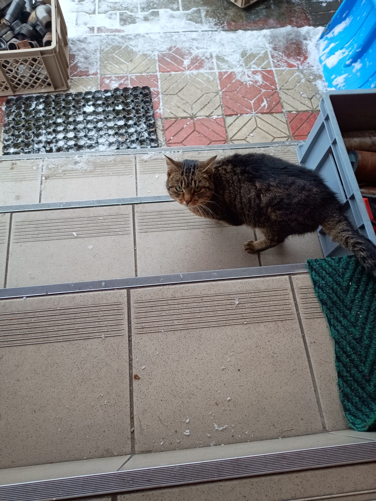 0665b1fe-667a-4847-a5a4-3a1b7ad503cf