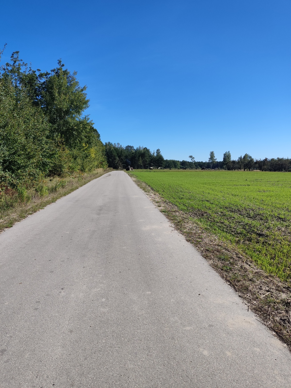 6dbaa3cd-de38-4c4b-bf11-26a815378a97