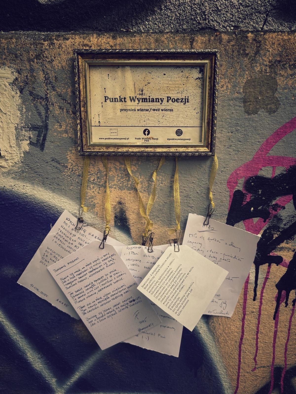 af43e3b4-4111-4576-9ad1-31a385a01aa3