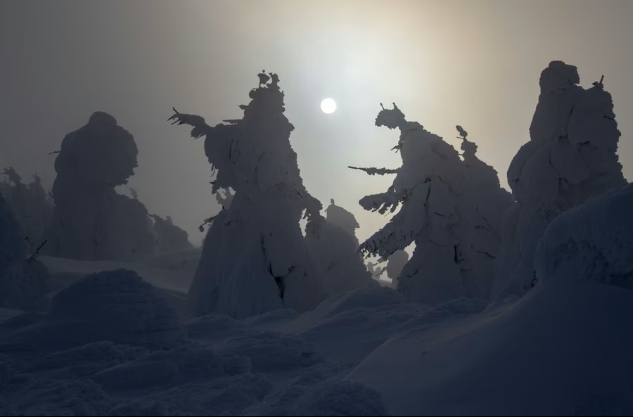 c411a70c-e24f-4d1e-ae21-ab3a0e36d484