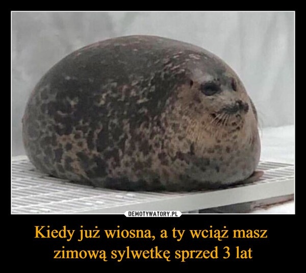 add42a02-71ef-4dfc-b9f9-ec634daff07a