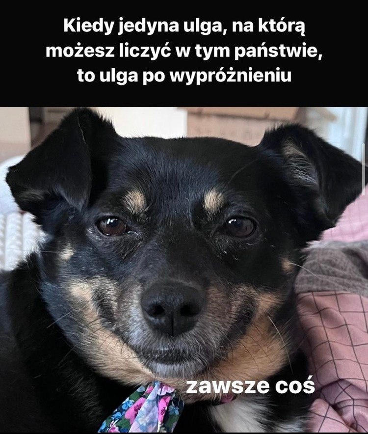 e0c2b641-2b45-4ef4-a915-e175d6a0f7fa