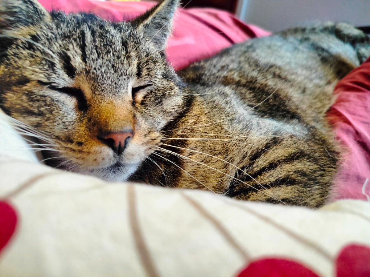 45ed9e39-12a4-499d-a57b-60892aa36ad8