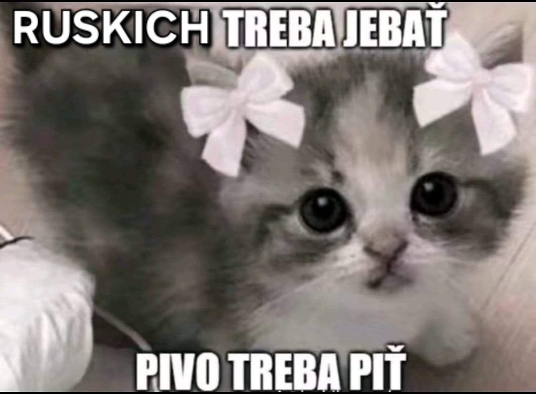 721a1cdd-498b-4792-a63d-86a07f0388dc