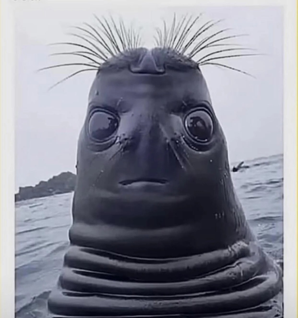 9f504536-2d77-4db0-9d04-7fff2f586caa