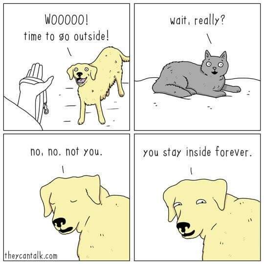 41bafce0-779a-4917-a442-ef935dbd0949