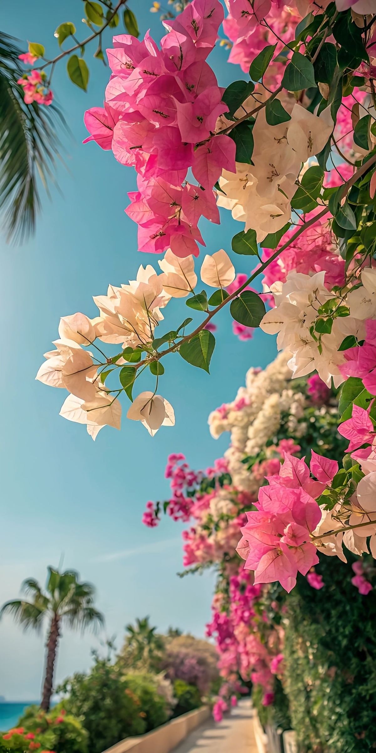 33bcd2c2-7724-47e7-80de-7df29e4934ac