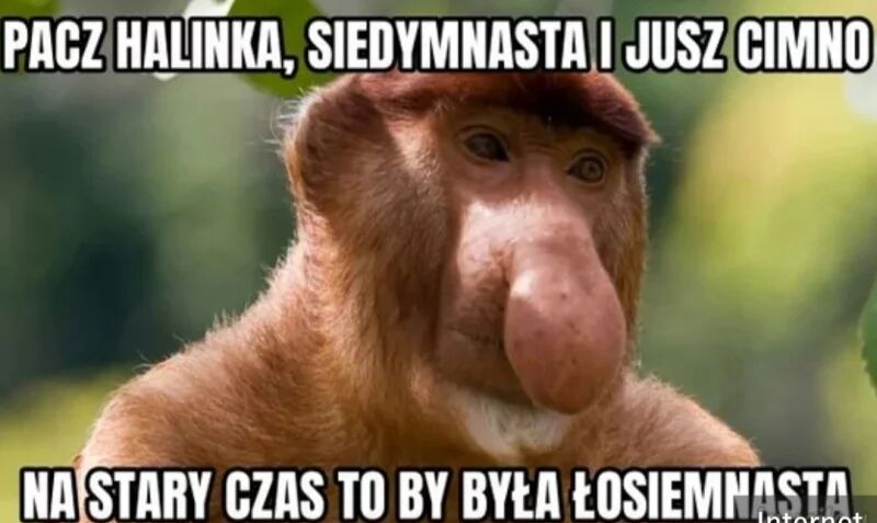 a929cc17-fefb-475e-9412-f9c135e74f36