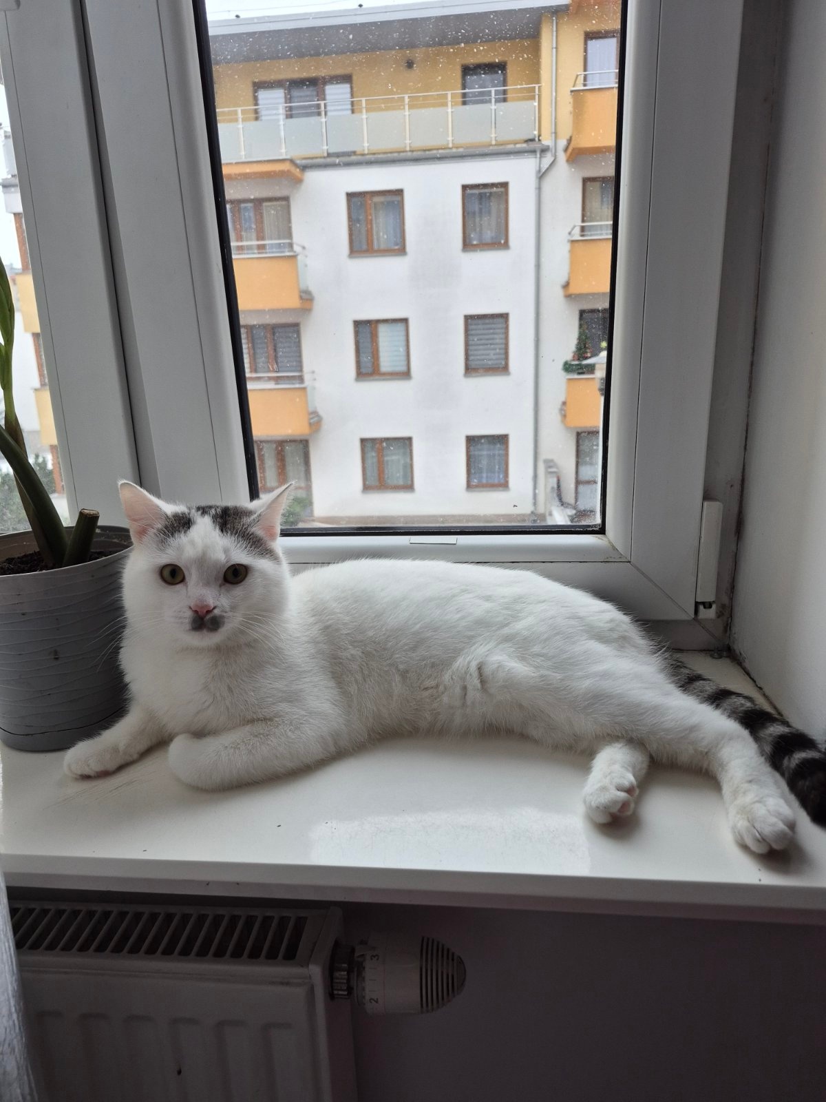 cb62b609-8502-4f96-b40e-74e5bcbd40b3