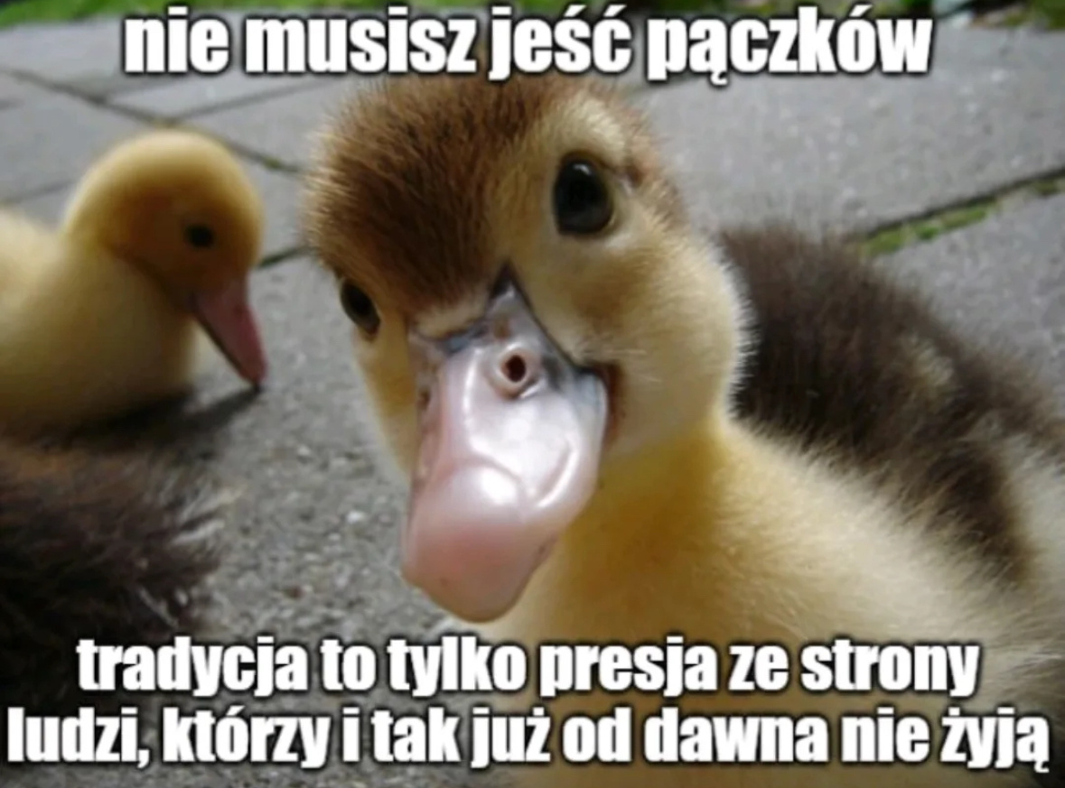 2bed19c3-9a6f-45c3-af34-31285c130527