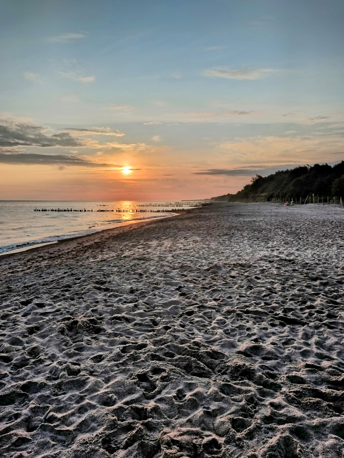 ba417a55-9b58-4f99-95af-e0ba0d12c13d