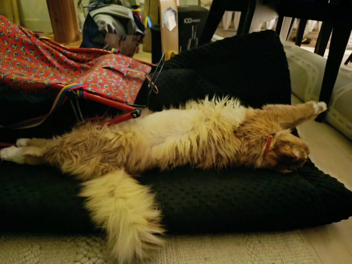 41164ea3-cf9b-40c7-8415-6fcb45844f1d