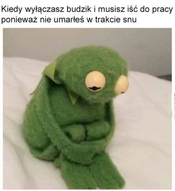 07138ddb-1e6a-4542-bb2d-8efab5fb0009