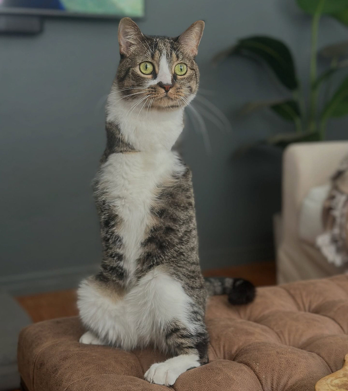 7193afc0-8d29-43e2-bbcd-eab6e128f3f1