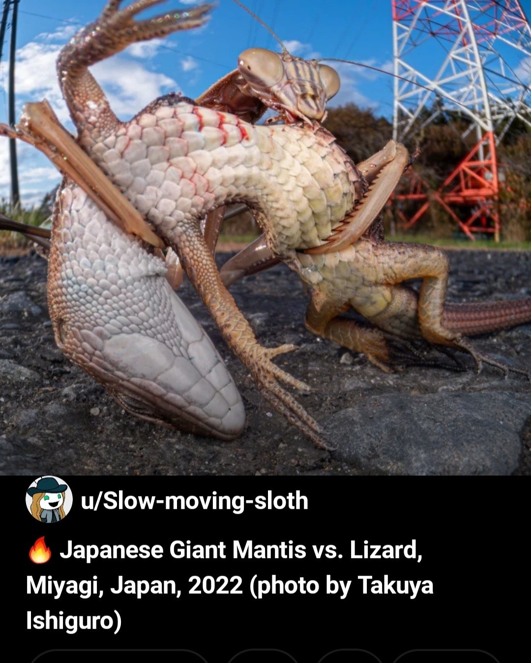 6800215e-cf3a-4848-848d-377421b1bf9c