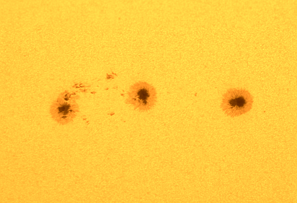 85089ae5-2875-4281-8827-511b30198d66