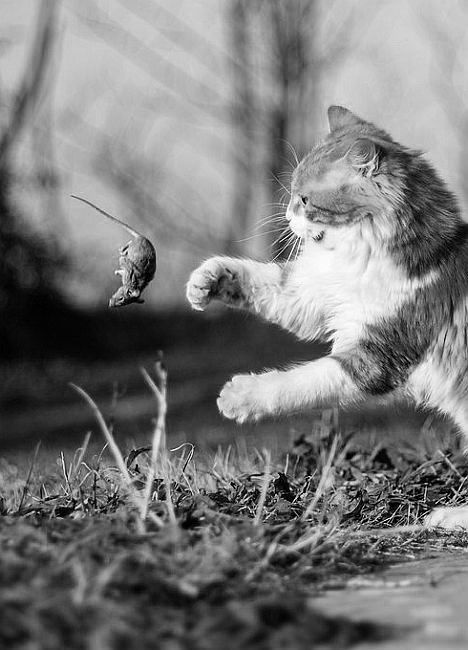 056454fa-c830-4ca8-bad4-0e478add0f4e