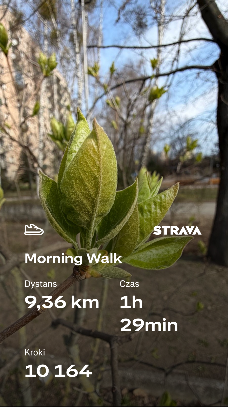 65fd15f5-07b0-4737-b043-72401e888eb7