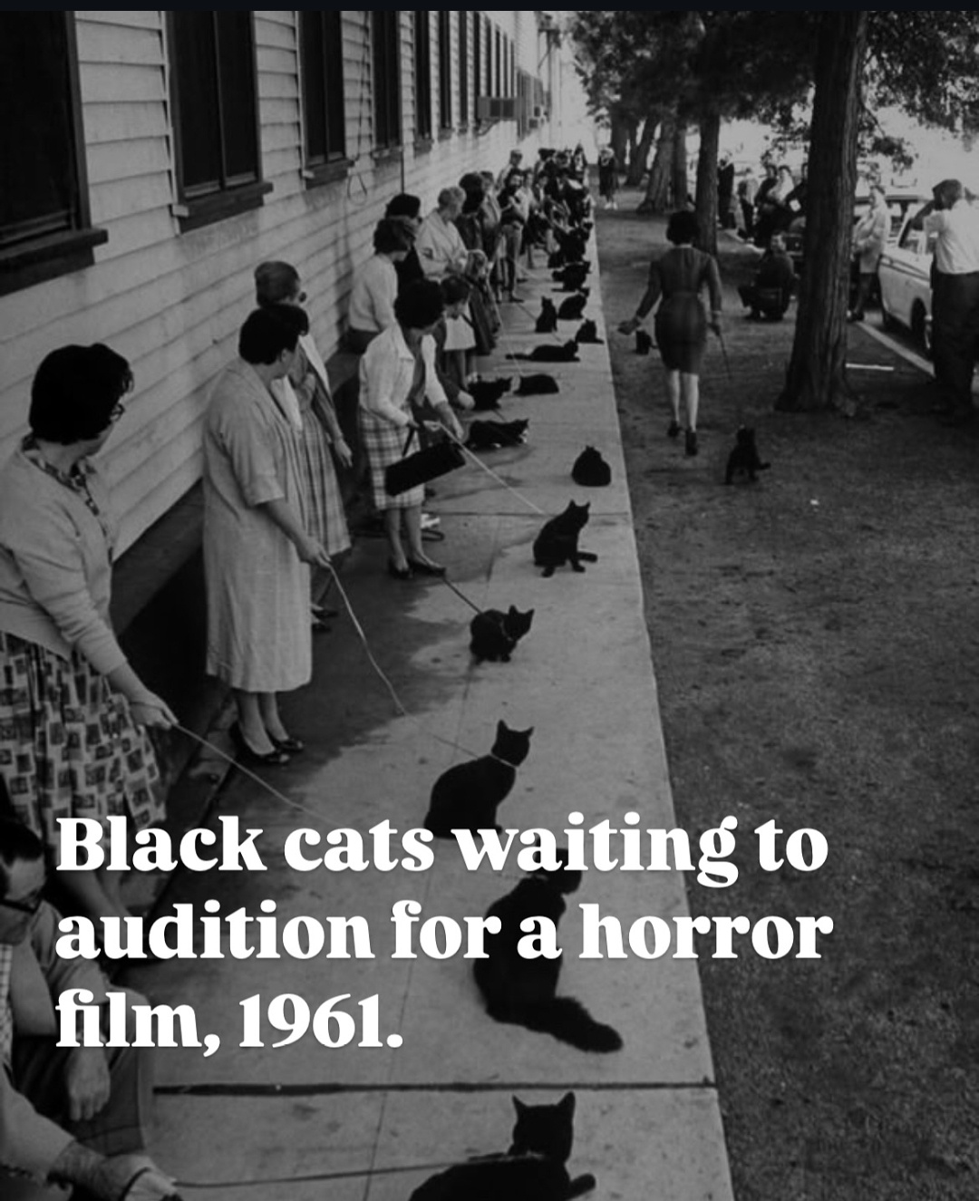 9b1cabf8-2d74-4468-abb2-a4112c8fb363