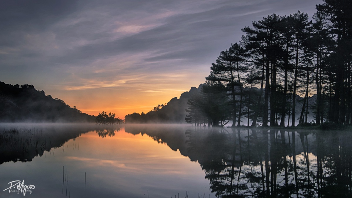 8aa97c7f-1a1c-4ea5-85ca-925dd0060253