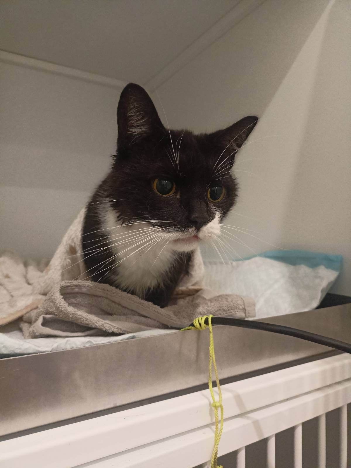 2537a57f-de79-4906-912c-5da450b6341c