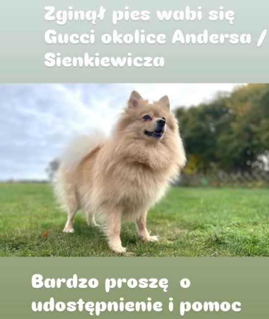 74e673a3-2172-4e0d-82ed-f88dd295162b