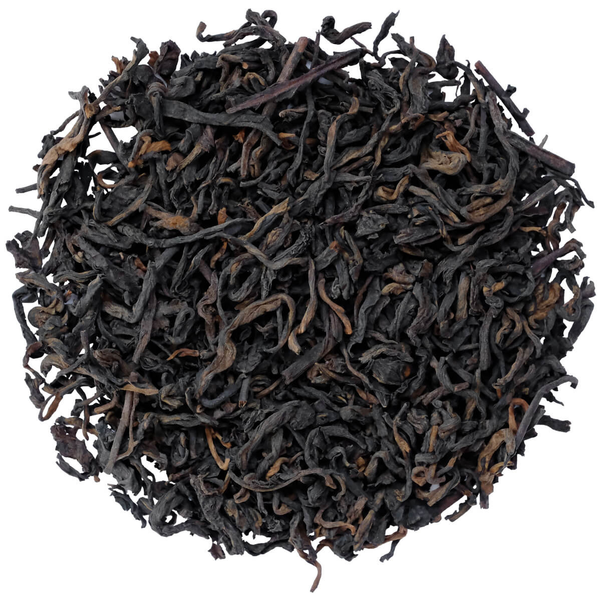 cd554733-f390-4aec-a558-7e9631c02970