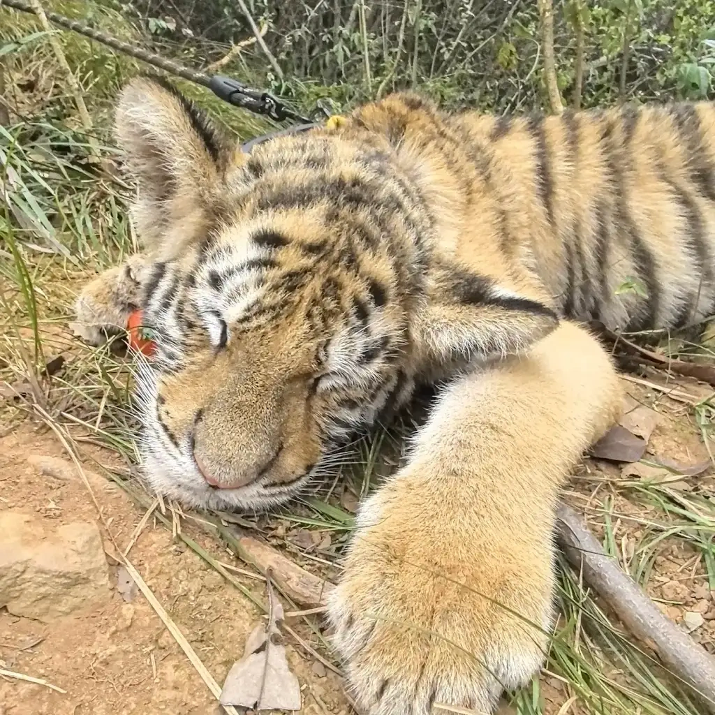 8c1add90-a2d2-4e20-89f9-169bf9d50b61