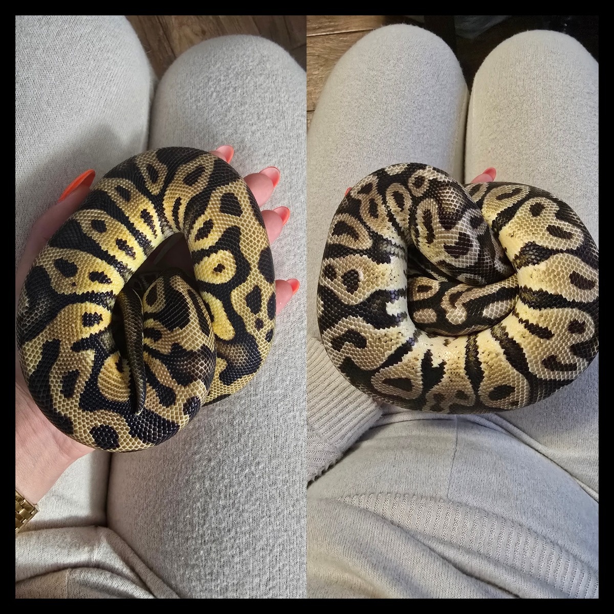 7ef2d7f9-7b9b-4194-a4e9-9d6f07b4c8c7