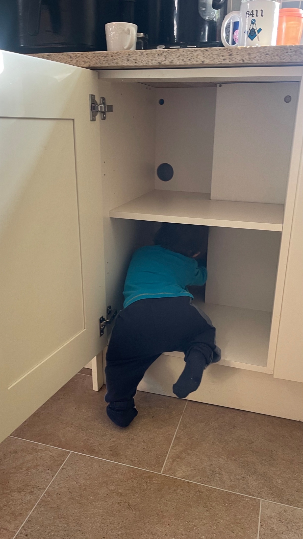 dc64c3b7-b557-4bdb-8249-9750cc07c8d2