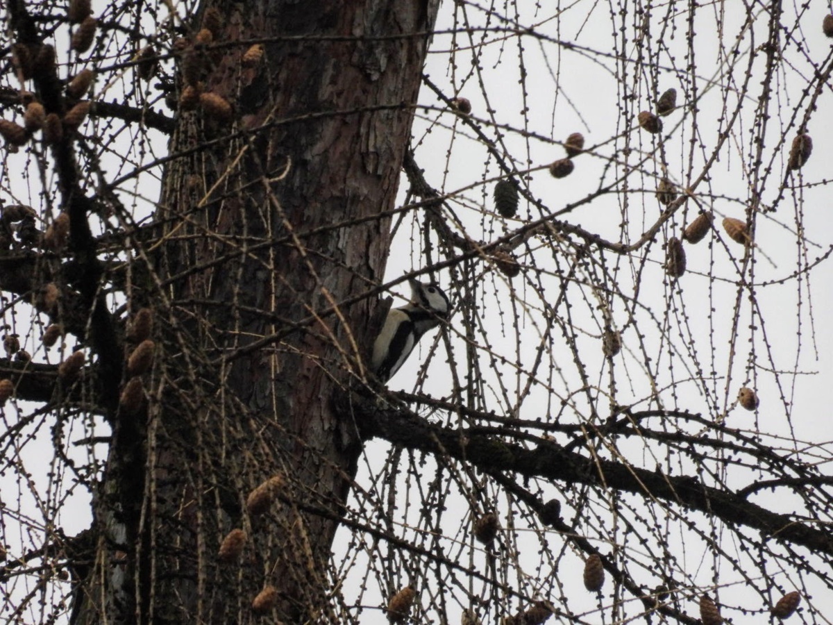 1494a353-a0a2-4235-8e37-86626613e6e9