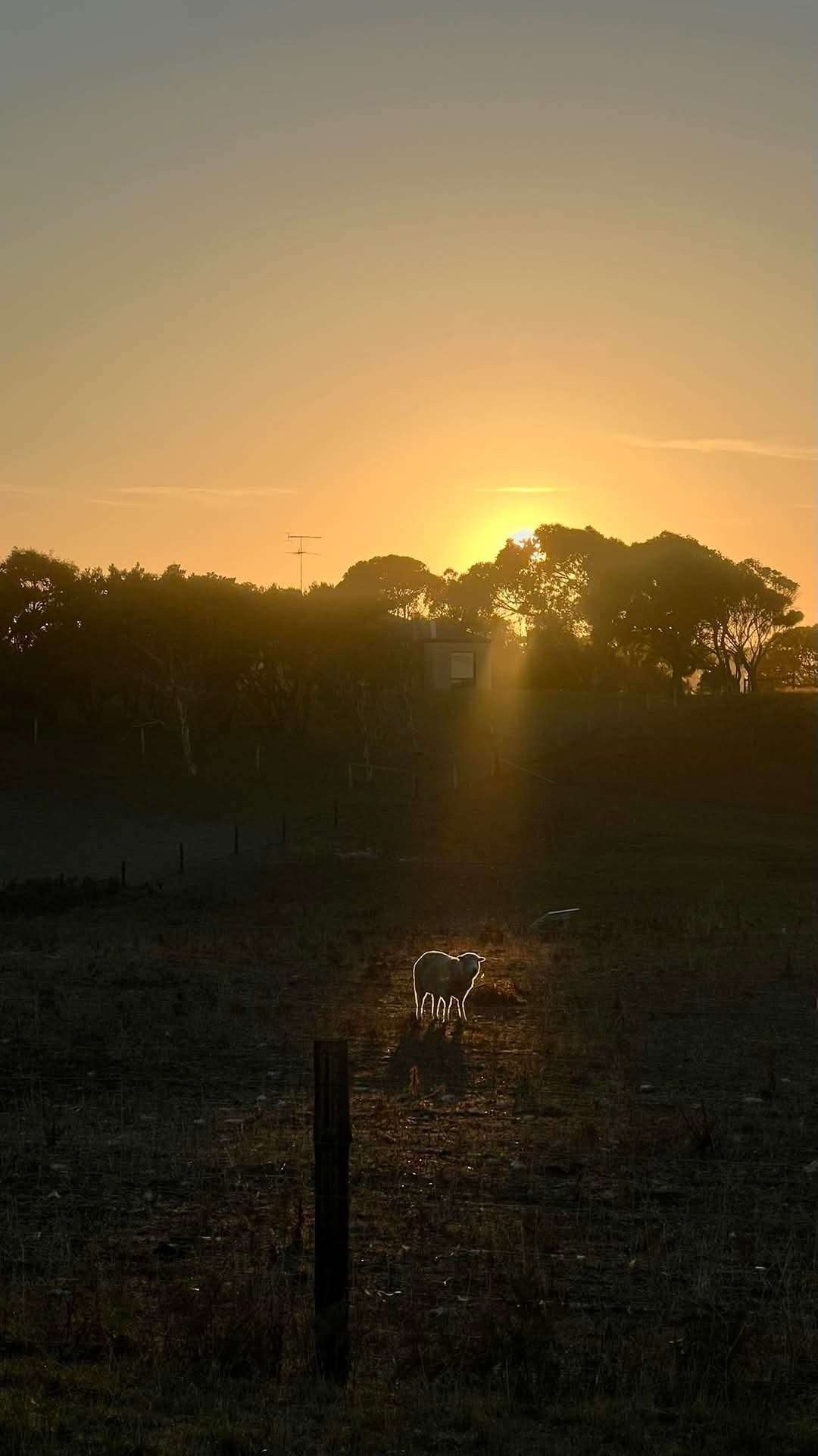 0168367f-2129-4e60-b19d-f0c394736ddf