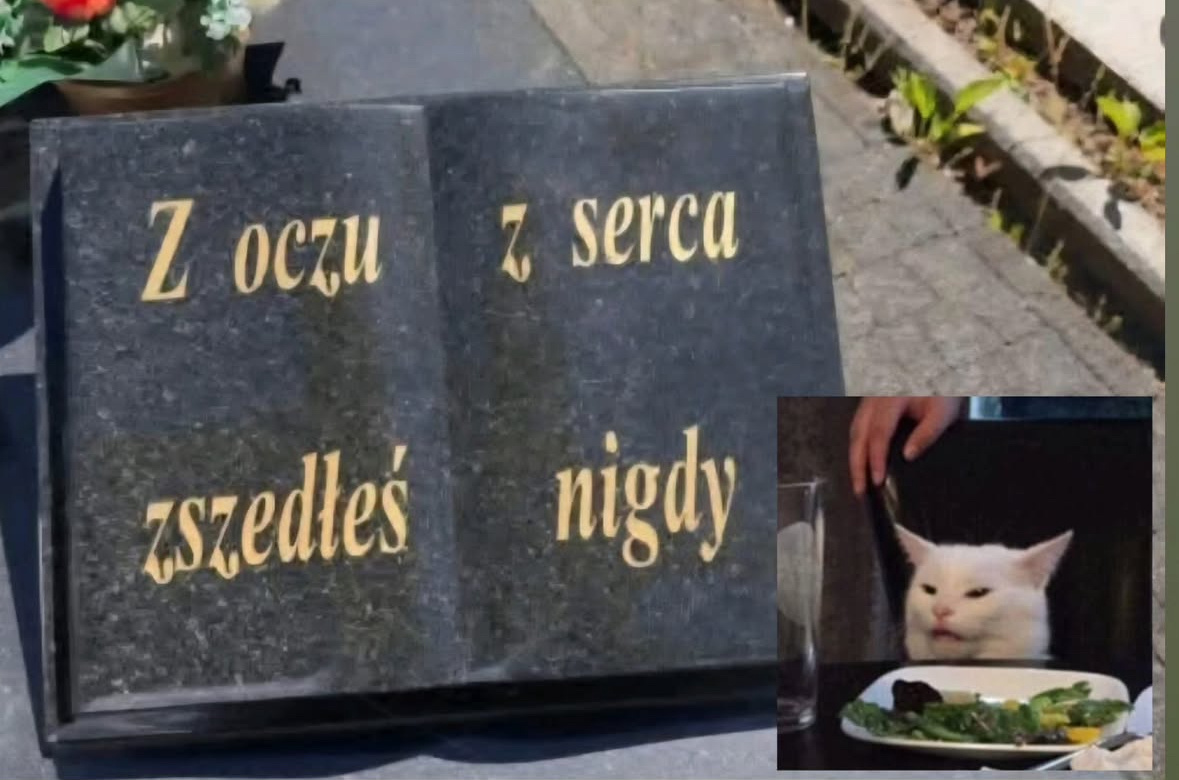 a8819af9-383a-49b3-9846-a3f6d24cc48f