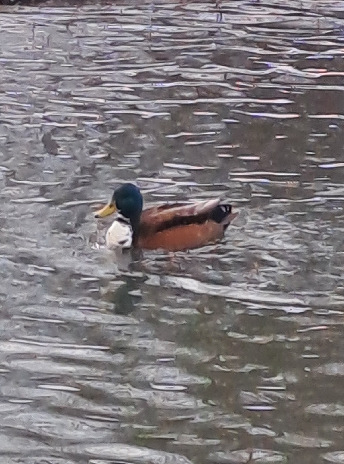 8c744edf-e560-4215-9778-0aa529778820