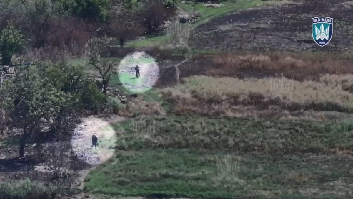 2a365aee-006f-41eb-84ea-6f7ed0c40479