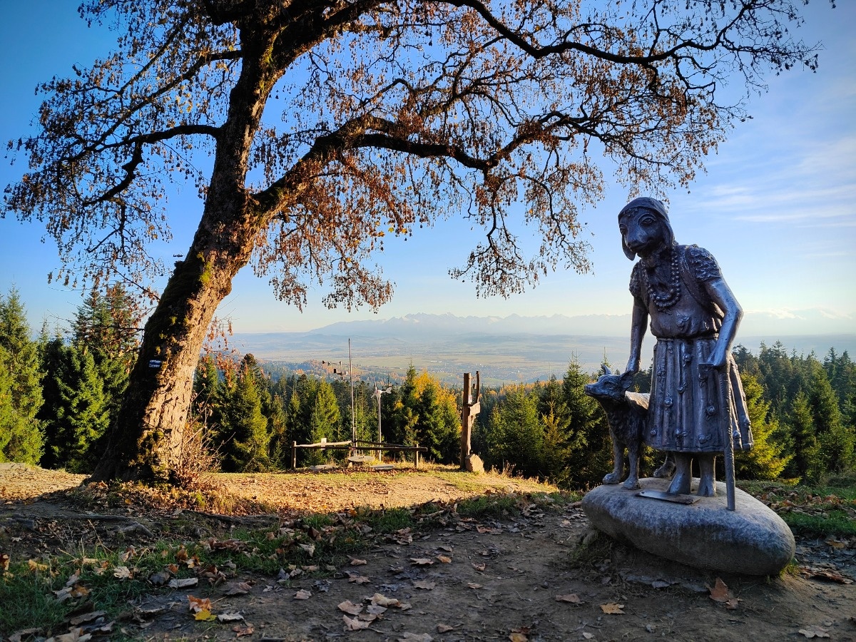 6dafee28-ffb0-4360-babb-16e5c94770ee