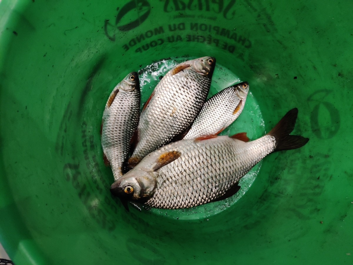 ea92b339-4625-4046-8630-7c74ce2e6710