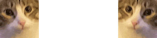 bb873882-fc6d-474f-a99e-b3fd0003bc05