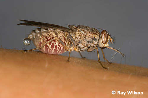 54526d2a-d0ca-4f45-91f9-d58f139ef64d