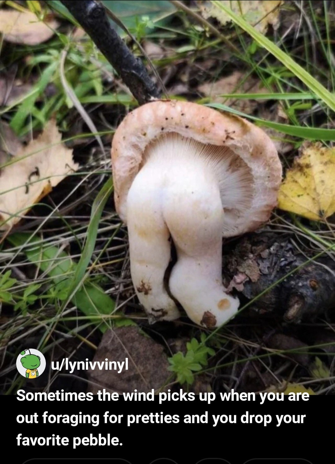 117d1836-3128-4625-818d-5d3d6a4f3aed