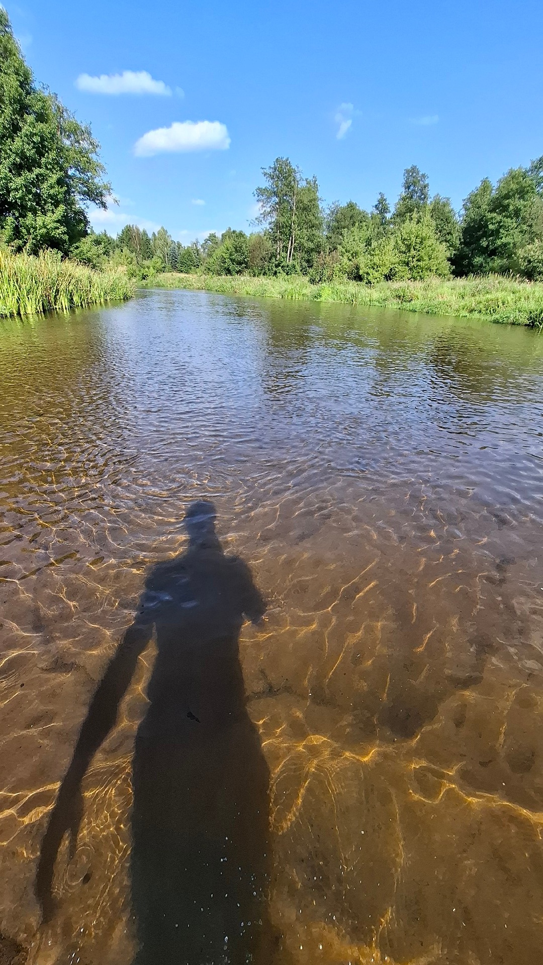 22ddf9a7-46a8-49a5-8173-89104a24629a