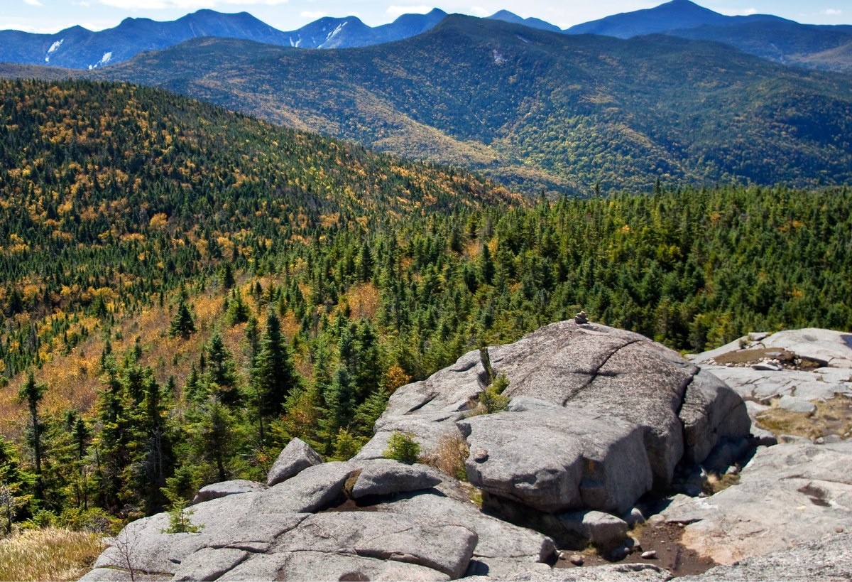 Zjedli grzybki halucynogenne i wyobrazili sobie, że kolega nie żyje
