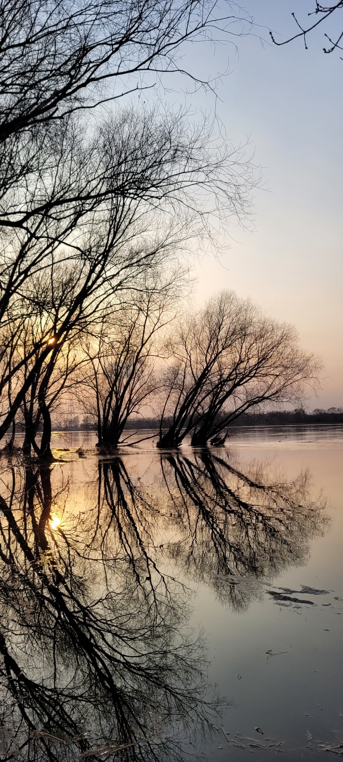 94e1f062-fdc3-488c-b5ec-adc949167b68